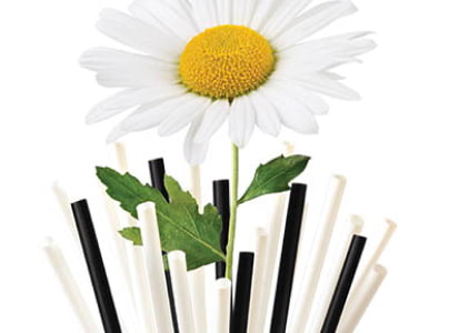 bouquet of straws with daisy in center