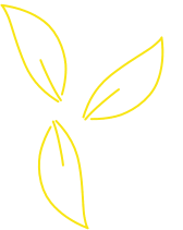 yellow icon leaves